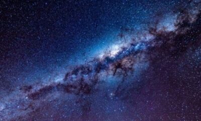 Científicos argentinos midieron la masa de una de las estrellas más masivas de la Vía Láctea.