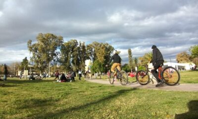 Parque de Mayo, víctima del vandalismo: Robo de plantas, roturas, daños y grafitis.