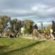Parque de Mayo, víctima del vandalismo: Robo de plantas, roturas, daños y grafitis.