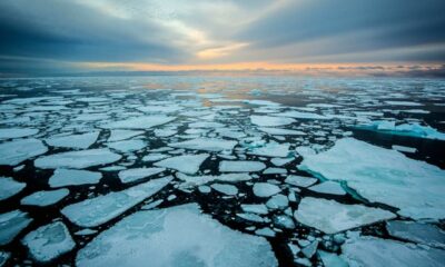 El Ártico se calienta cuatro veces más rápido que el resto del planeta debido al cambio climático.