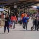 ¡No te lo pierdas! Este sábado habrá una nueva edición de la Feria Agroproductiva.
