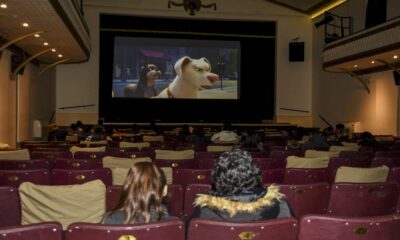 Cine para perros: ¿cómo fue la primera función pet friendly en Sudamérica?
