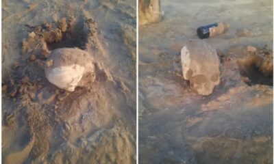 Los restos oseos encontrados en Ullum no pertenecen a Raúl Tellechea.