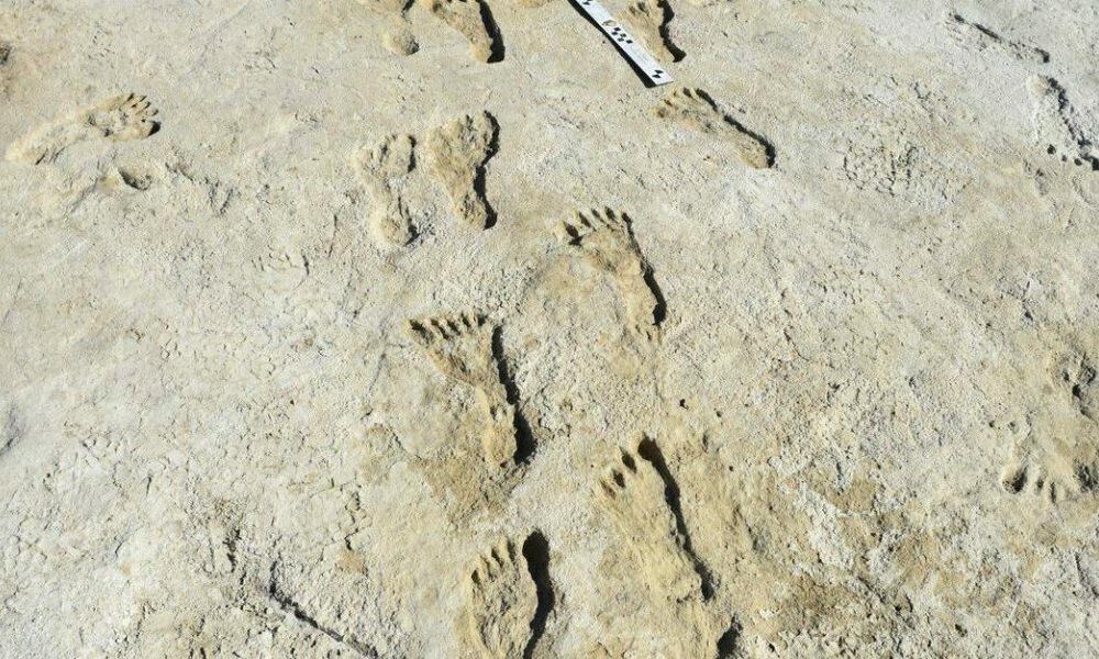 Huellas de pasos revelaron detalles de cómo vivían los habitantes en la Edad de Hielo. Huellas de pasos revelaron detalles de cómo vivían los habitantes en la Edad de Hielo.