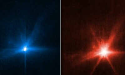 La NASA reveló las primeras fotos del impacto de su sonda ‘kamikaze’ contra un asteroide.