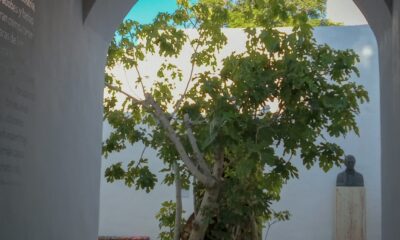 La casa y el patio con higuera de la Casa Natal de Sarmiento, corazón sanjuanino.