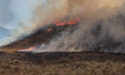 El viento complicó el trabajo de los bomberos contra los focos de incendio en Valle fértil.