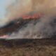 El viento complicó el trabajo de los bomberos contra los focos de incendio en Valle fértil.