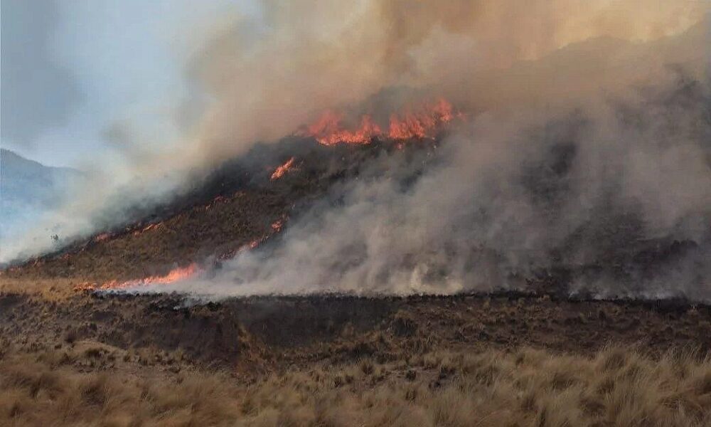 Los incendios no dan tregua en Valle Fértil. Los incendios no dan tregua en Valle Fértil.