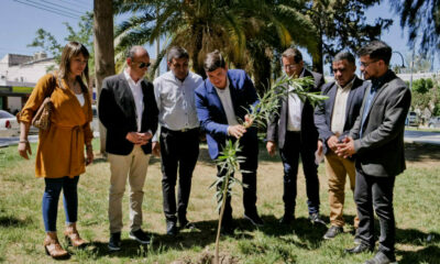 Ambiente entregó árboles del Plan Forestal al departamento de Jáchal.