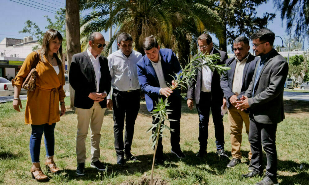 Ambiente entregó árboles del Plan Forestal al departamento de Jáchal. Ambiente entregó árboles del Plan Forestal al departamento de Jáchal.