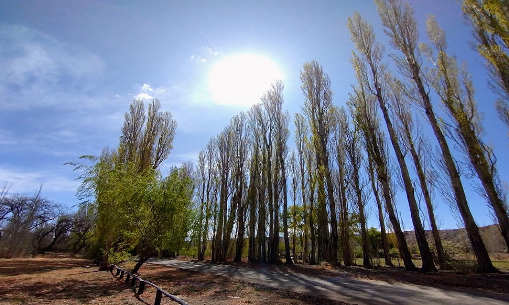 Se vienen días con máximas que no llegarán a los 35 °C, según lo anuncia el SMN. Se vienen días con máximas que no llegarán a los 35 °C, según lo anuncia el SMN.