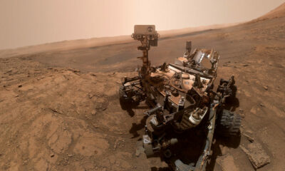 Marte: el curioso «animal» que detectó el Rover Curiosity.