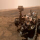 Marte: el curioso «animal» que detectó el Rover Curiosity.