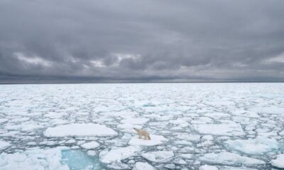 La ONU alertó que los últimos ocho años fueron los más cálidos de la historia.