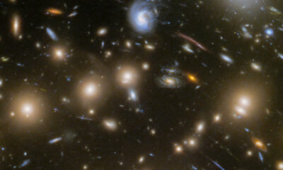 Increíbles imágenes inmediatamente después de la explosión de una supernova supergigante roja.