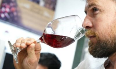 Con muchas actividades el Día del Vino Argentino se celebra en San Juan a pura tradición.