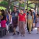 La última edición del año de la Feria Agroproductiva fue todo un éxito.