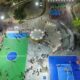 San Martín tiene un nuevo complejo deportivo.