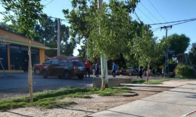 Tragedia en la vía pública: un árbol se desplomó sobre motocicistas y terminó con la vida de uno.