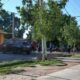 Tragedia en la vía pública: un árbol se desplomó sobre motocicistas y terminó con la vida de uno.