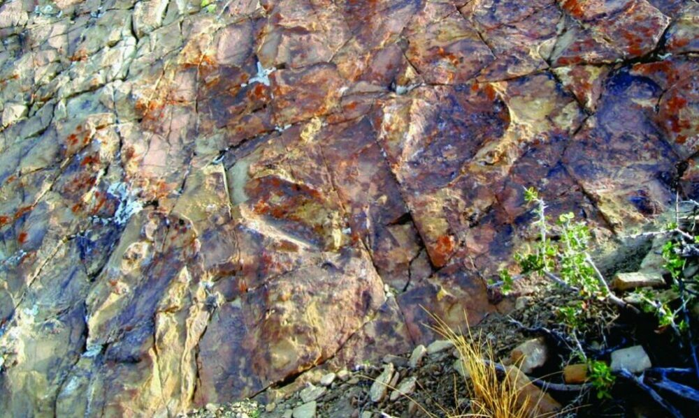 Descubrieron huellas de «patinadas» de dinosaurios de 130 millones de años. Descubrieron huellas de «patinadas» de dinosaurios de 130 millones de años.