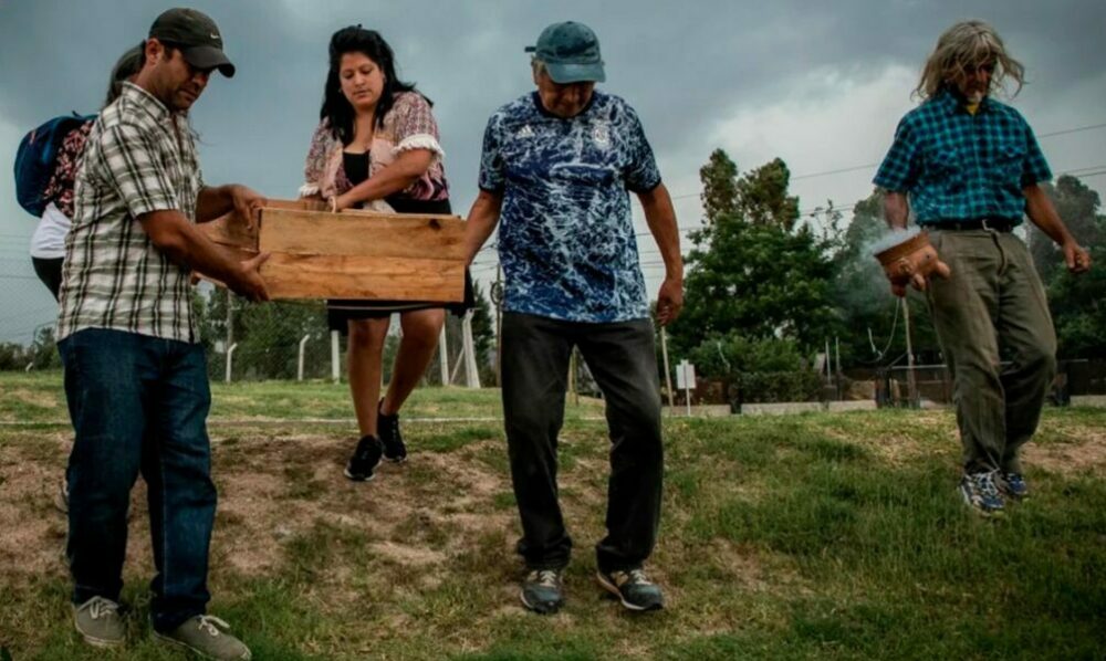 Piden al Museo de La Plata la restitución de los restos de 42 ancestros indígenas de Tigre. Piden al Museo de La Plata la restitución de los restos de 42 ancestros indígenas de Tigre.
