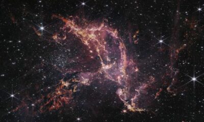 El telescopio James Webb descubrió polvo estelar en una región cercana a la Vía Láctea.