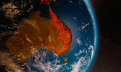 ¿Fin de los incendios forestales? La NASA creó un escudo térmico útil para combatirlos.