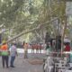 Peligro en Capital: cayó un árbol en plena peatonal, de milagro no hubo que lamentar un accidente.