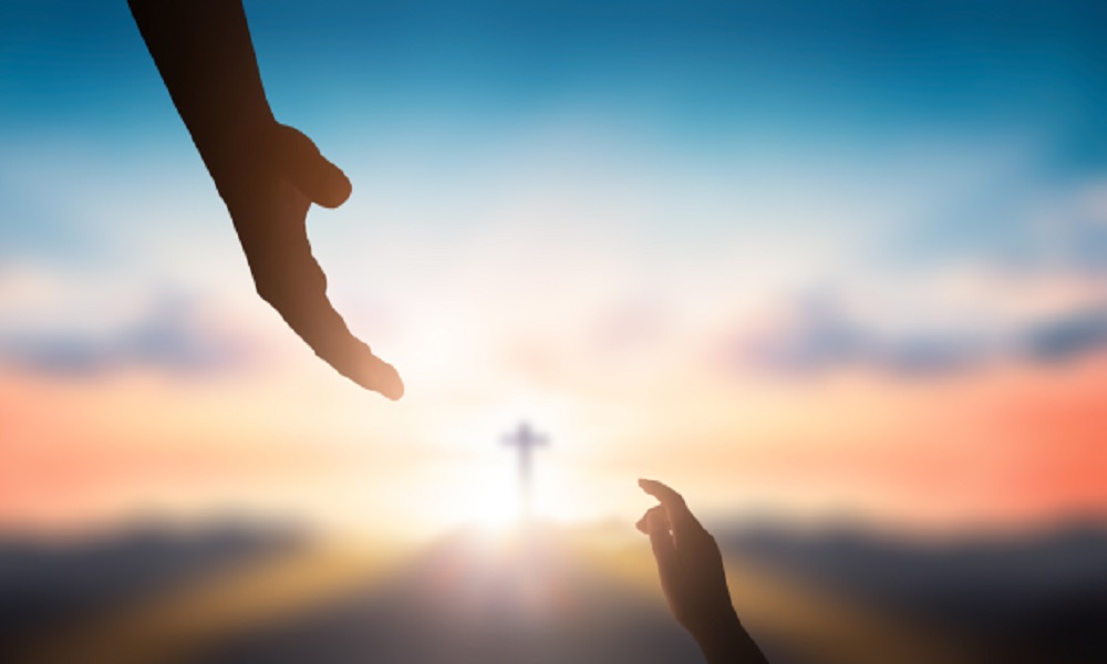El sueño de Dios, la vida. El sueño de Dios, la vida.