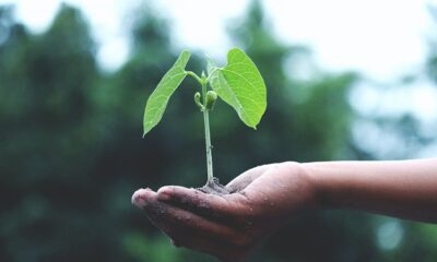 UNSJ: comienzan las inscripciones para la Maestría en Gestión de la Información Ambiental para el Desarrollo Sustentable.