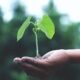 UNSJ: comienzan las inscripciones para la Maestría en Gestión de la Información Ambiental para el Desarrollo Sustentable.