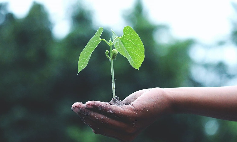 UNSJ: comienzan las inscripciones para la Maestría en Gestión de la Información Ambiental para el Desarrollo Sustentable. UNSJ: comienzan las inscripciones para la Maestría en Gestión de la Información Ambiental para el Desarrollo Sustentable.