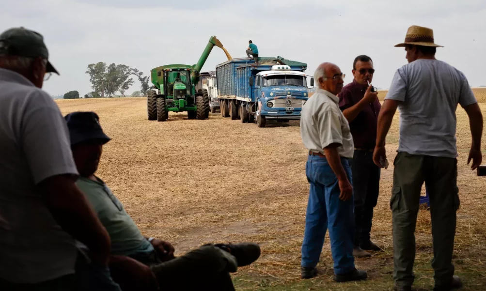 Gobierno declara emergencia agropecuaria por sequía en Córdoba. Gobierno declara emergencia agropecuaria por sequía en Córdoba.