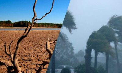El niño, en qué consiste este fenómeno, qué diferencias tiene con «la niña».