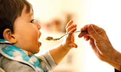 Tendencia en incorporación de alimentos sólidos, y otros, en infantes: una profesional en nutrición aclara dudas.
