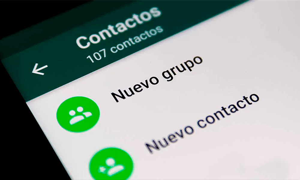 El chat del grupo de WhatsApp de un proctólogo se viralizó. El chat del grupo de WhatsApp de un proctólogo se viralizó.