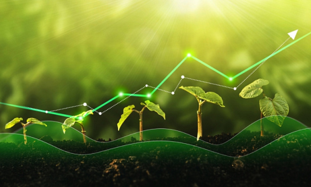 Gobierno de Brasil lanzará programa de Reforma Agraria. Gobierno de Brasil lanzará programa de Reforma Agraria.