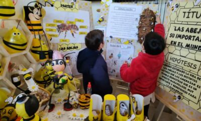 Presentaron 32 proyectos de la Región Sur en la Feria de Educación, Artes, Ciencias y Tecnología.