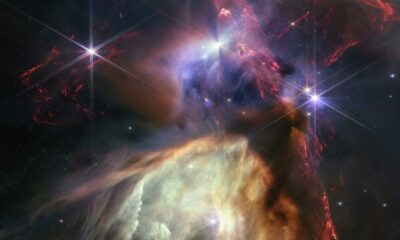 La NASA publicó la imagen del nacimiento de 50 estrellas jóvenes del tamaño del Sol.