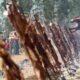 Se viene una nueva edición de la Fiesta Provincial del Chivo en Valle Fértil.