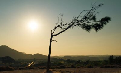 “Somos más vulnerables”: ¿por qué el cambio climático puede pegar más a América Latina?