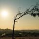 “Somos más vulnerables”: ¿por qué el cambio climático puede pegar más a América Latina?