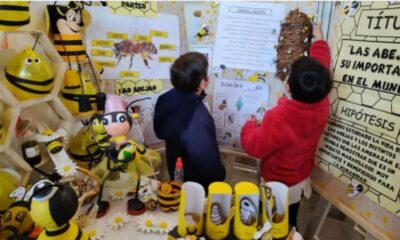 Se realizará la instancia Provincial de la Feria de Educación, Ciencias, Artes y Tecnología.