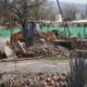 El Fortín Jesuita de Ullum quedó demolido entre un 40% y 50% pero logró frenarse.