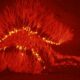 Científicos argentinos detectaron que el cerebro genera neuronas para “remodelar” memorias.