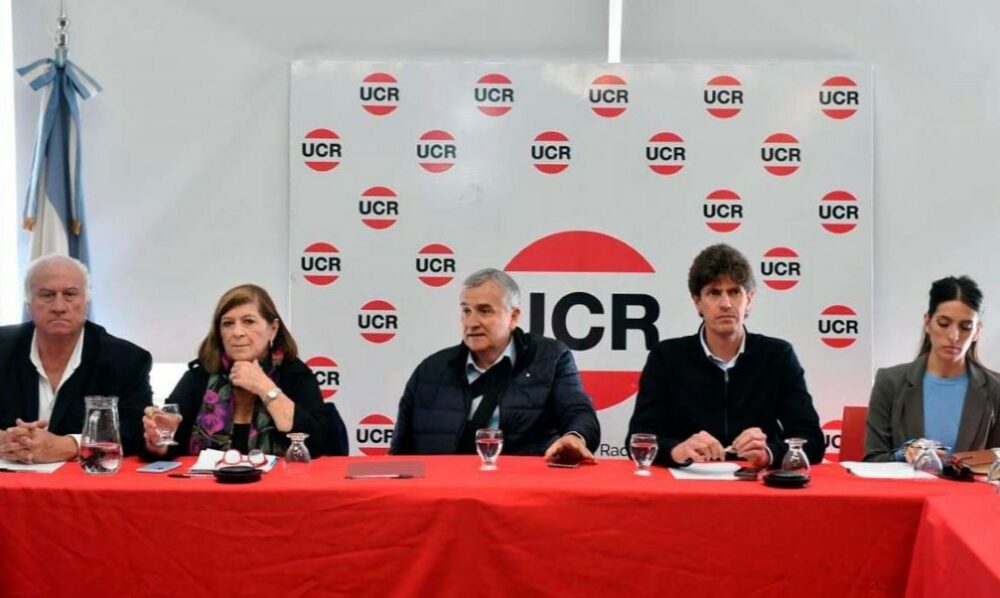 Morales furioso por el pacto con Milei: “Lo que hizo Patricia es una falta de respeto que no perdonamos”. Morales furioso por el pacto con Milei: “Lo que hizo Patricia es una falta de respeto que no perdonamos”.
