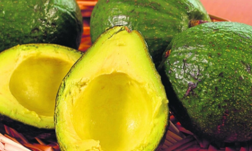 ¡Hemos sido engañados! al parecer la palta no es tan saludable.