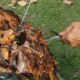 San Martín disfrutó la sexta edición de la Peña del Asador.